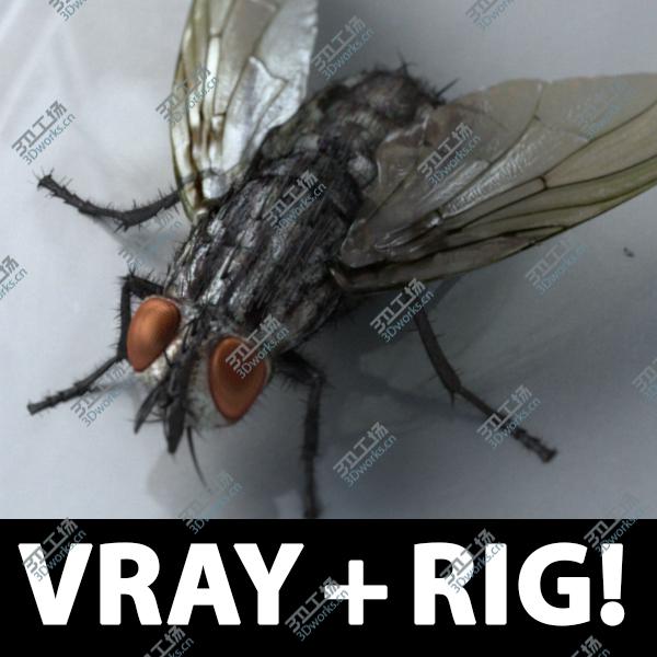 images/goods_img/202104092/Fly realistic!  (RIGGED)(VRAY)/1.jpg